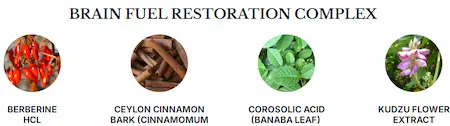 Phytomem-One-Ingredients-2
